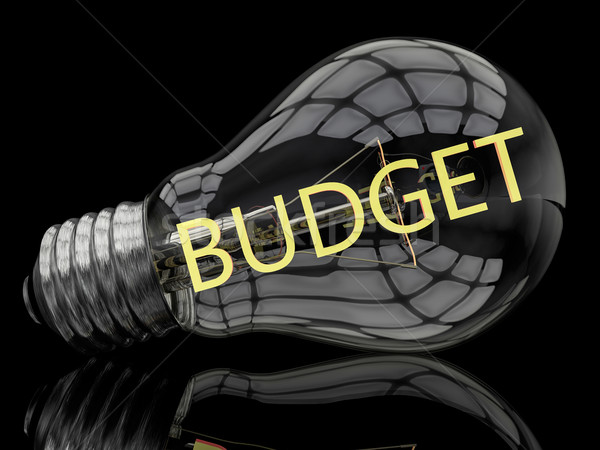 Budget Stock photo © Mazirama