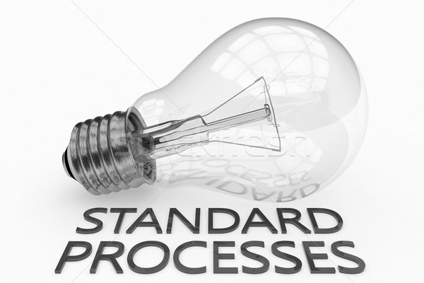 Standard Processes Stock photo © Mazirama