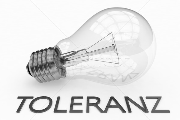 Szó tolerancia villanykörte fehér szöveg 3d render Stock fotó © Mazirama