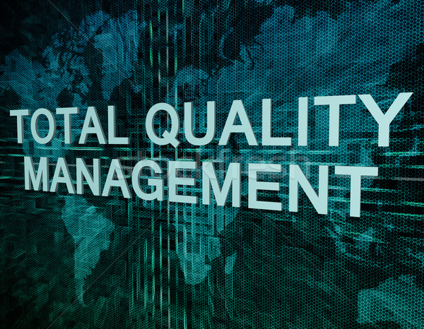 Total Quality Management Stock photo © Mazirama