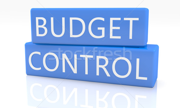 Budget Control Stock photo © Mazirama