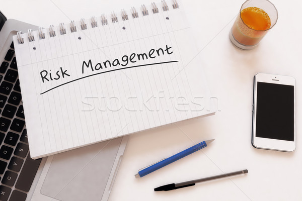 Risk Management Stock photo © Mazirama
