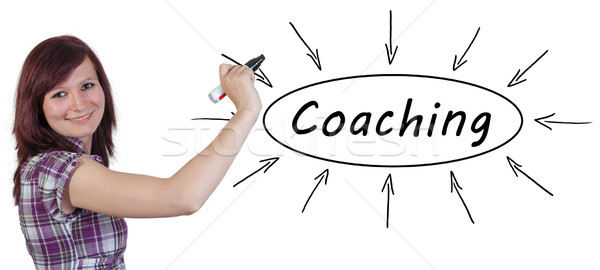 Coaching jungen Geschäftsfrau Zeichnung Informationen Stock foto © Mazirama