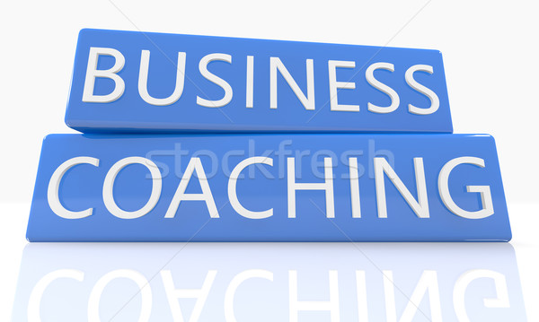 Business Coaching 3d render blau Feld Text Stock foto © Mazirama