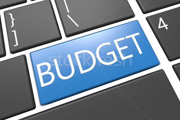 Budget Stock photo © Mazirama