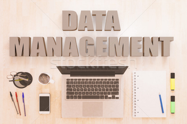 Data Management text concept Stock photo © Mazirama