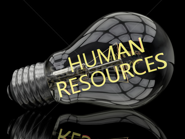 Human Resources Stock photo © Mazirama