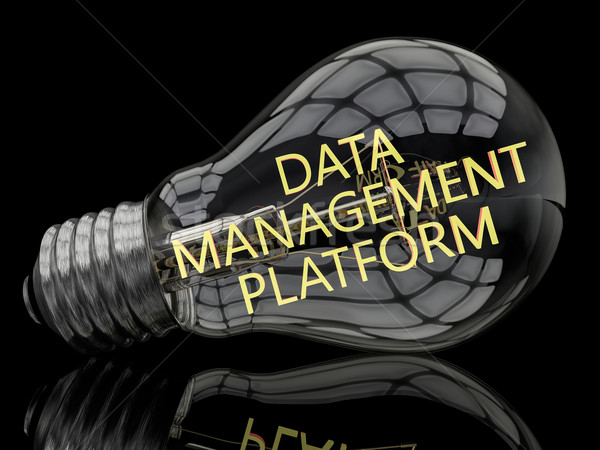 Stock foto: Daten · Management · Plattform · Glühbirne · schwarz · Text