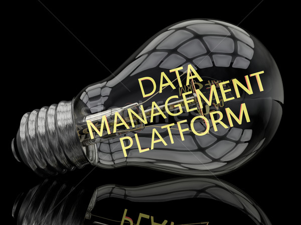 Data Management Platform Stock photo © Mazirama