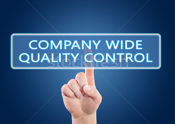 Bedrijf breed kwaliteitscontrole hand knop Stockfoto © Mazirama