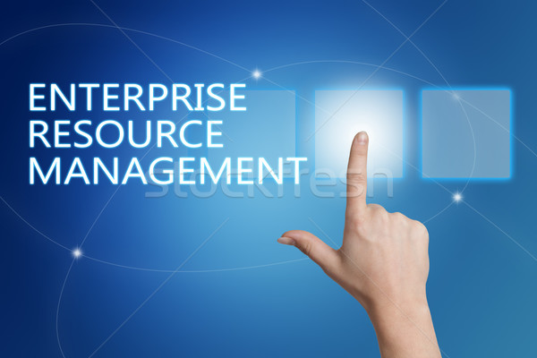 Enterprise Resource Management Stock photo © Mazirama