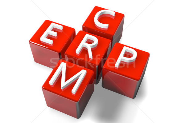 Crossword CRM ERP Stock photo © Mazirama