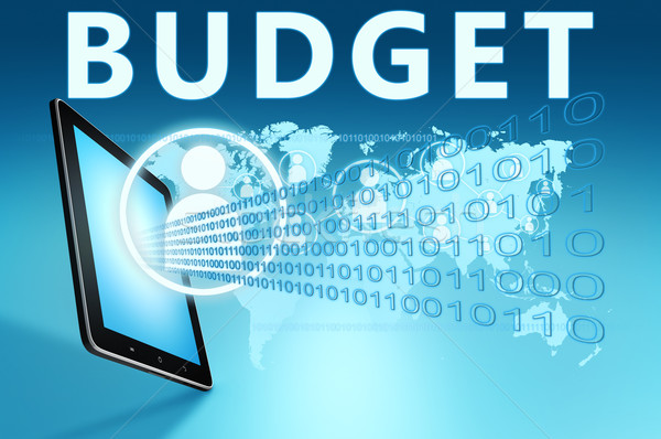 Budget Stock photo © Mazirama