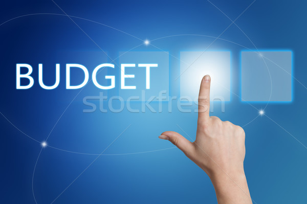 Budget Stock photo © Mazirama