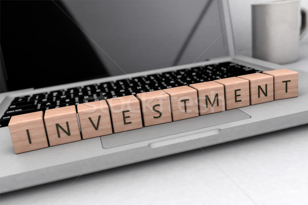 Investment text concept Stock photo © Mazirama