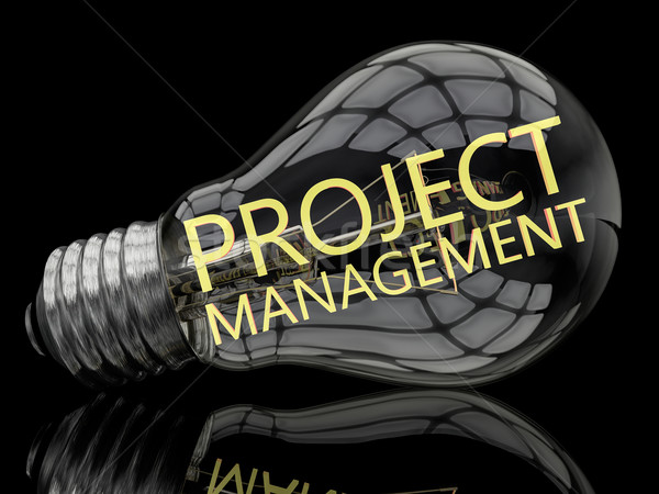 Projekt vezetőség villanykörte fekete szöveg 3d render Stock fotó © Mazirama