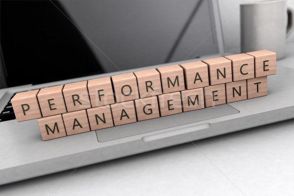 Performance Management text concept Stock photo © Mazirama