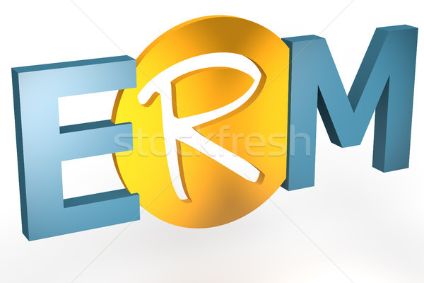 ERM Concept Stock photo © Mazirama