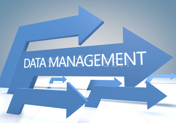 Data Management Stock photo © Mazirama