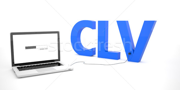 Zdjęcia stock: Klienta · wartość · laptop · notebooka · komputera · słowo