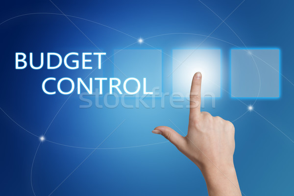 Budget Control Stock photo © Mazirama