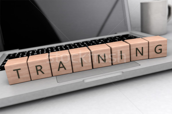 Training text concept Stock photo © Mazirama