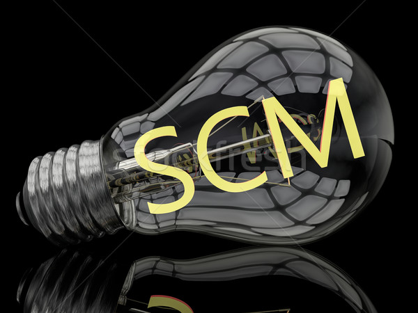 Ellátás lánc vezetőség villanykörte fekete szöveg Stock fotó © Mazirama