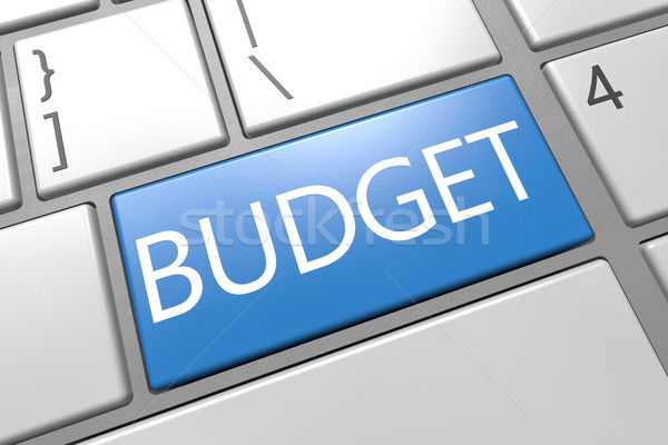 Budget Stock photo © Mazirama