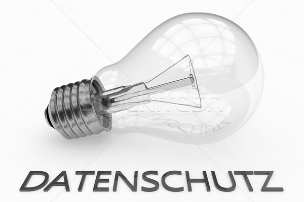 Datenschutz Stock photo © Mazirama