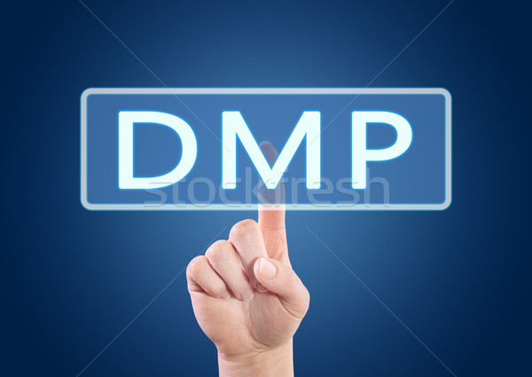 DMP Concept Stock photo © Mazirama