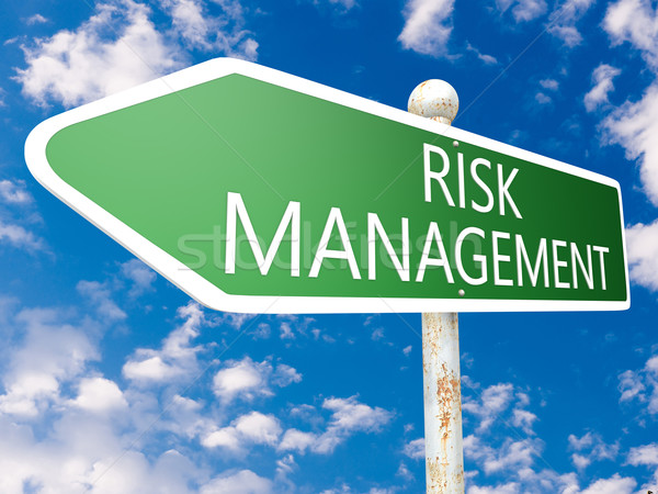 Risk Management Stock photo © Mazirama