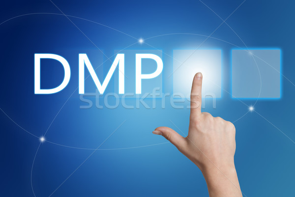 DMP Concept Stock photo © Mazirama