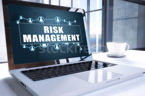 Risk Management Stock photo © Mazirama