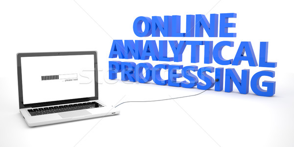 Online Analytical Processing Stock photo © Mazirama