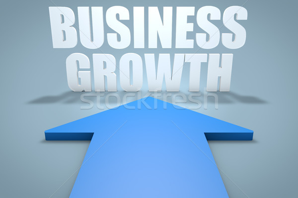 Business Growth Stock photo © Mazirama