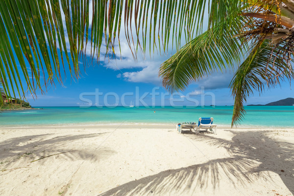 Praia tropical tropical areia branca praia natureza paisagem Foto stock © mblach