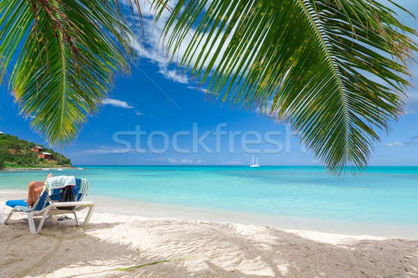 Plaja tropicala tropical nisip alb plajă natură peisaj Imagine de stoc © mblach