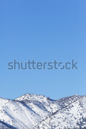 snowy mountain Stock photo © mblach