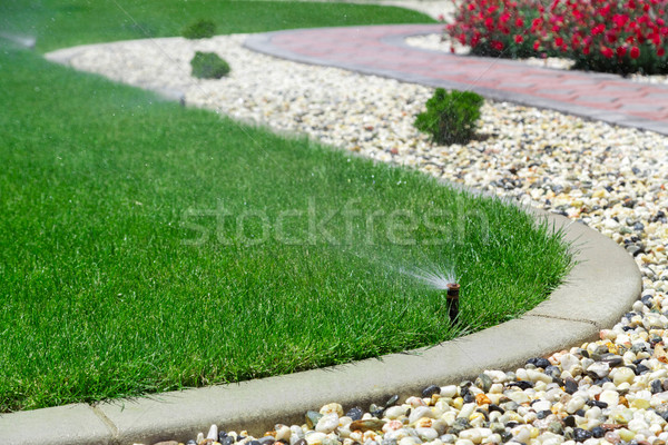 Locsol fű tájkép kert háttér nyár Stock fotó © mblach