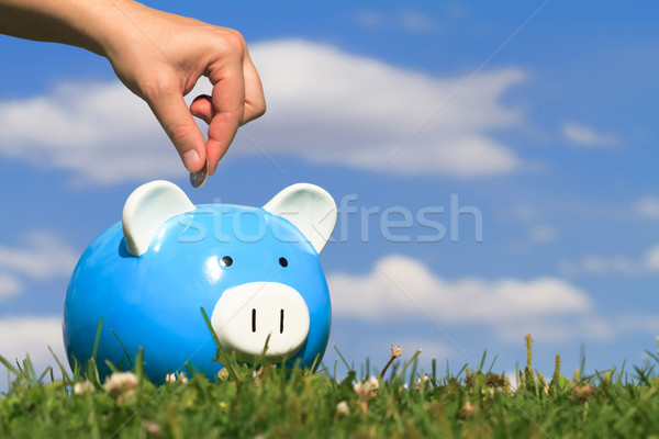 Stock photo: savings