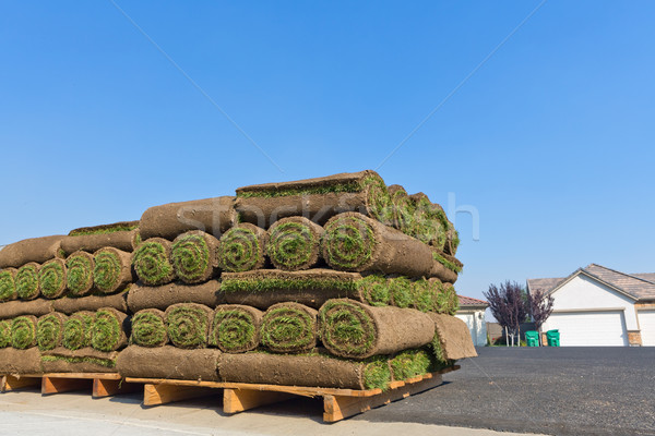 Sod rolls Stock photo © mblach