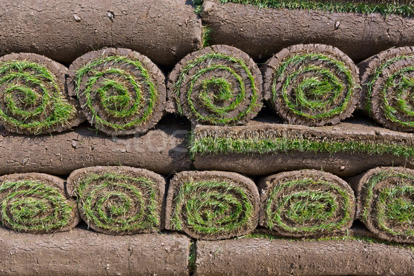 Proaspăt iarbă covor murdărie peluză Imagine de stoc © mblach