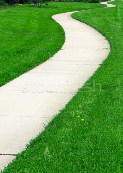 Pathway Stock photo © mblach