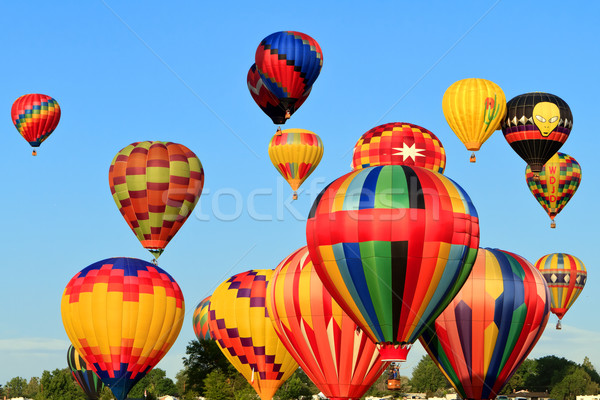 Hot lucht ballonnen blauwe hemel hemel sport Stockfoto © mblach