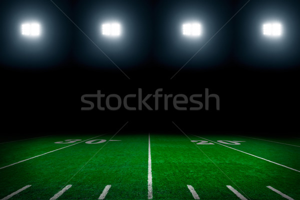 Football field Stock photo © mblach