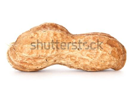 Amendoim branco planta concha comer abrir Foto stock © mblach