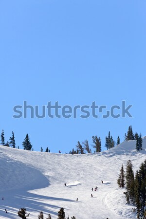 ski mountain Stock photo © mblach