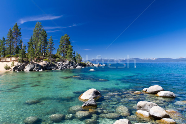 Foto stock: Lago · praia · floresta · montanha · verão · areia