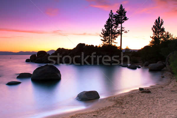 Tó tengerpart víz naplemente fák nyár Stock fotó © mblach