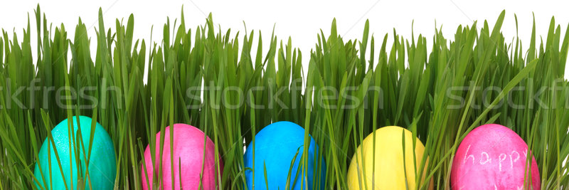 Húsvéti tojások fű fehér tavasz természet tojás Stock fotó © mblach